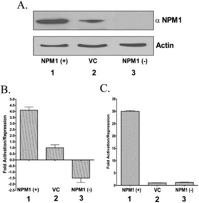 FIG. 7.