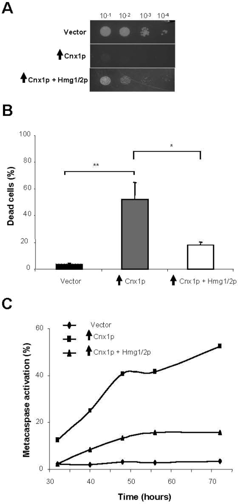 Figure 7.