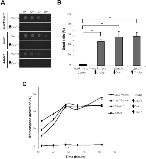 Figure 6.