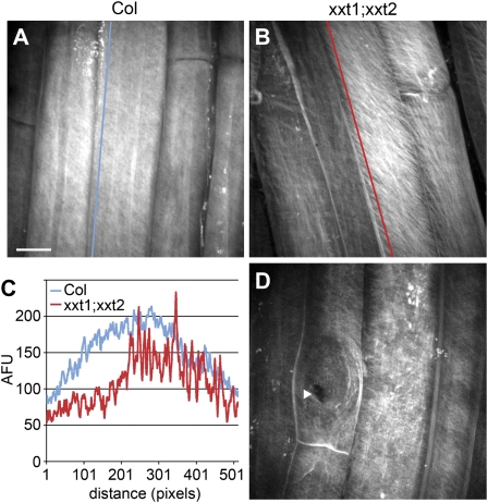 Figure 5.