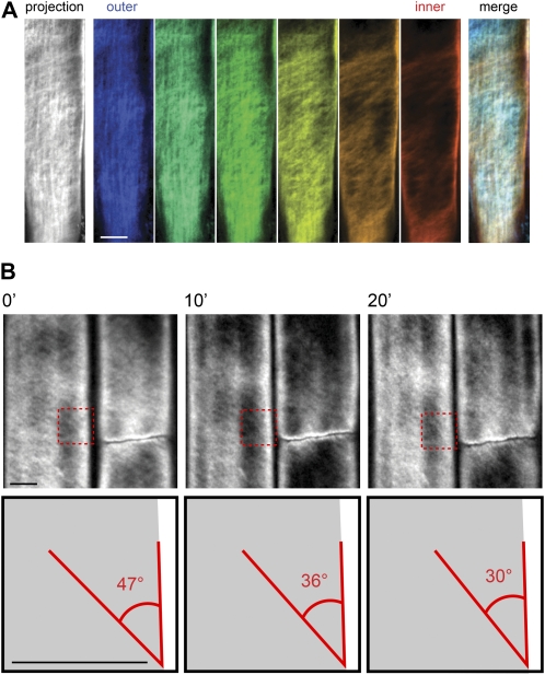 Figure 3.