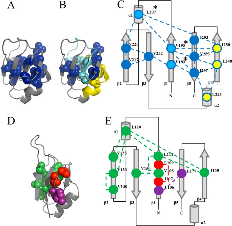 FIGURE 6.