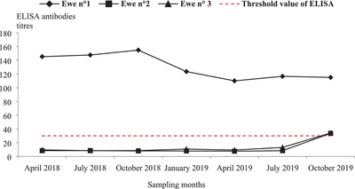 FIGURE 2