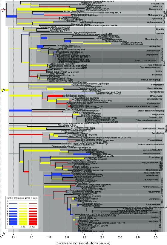 FIG. 2.—