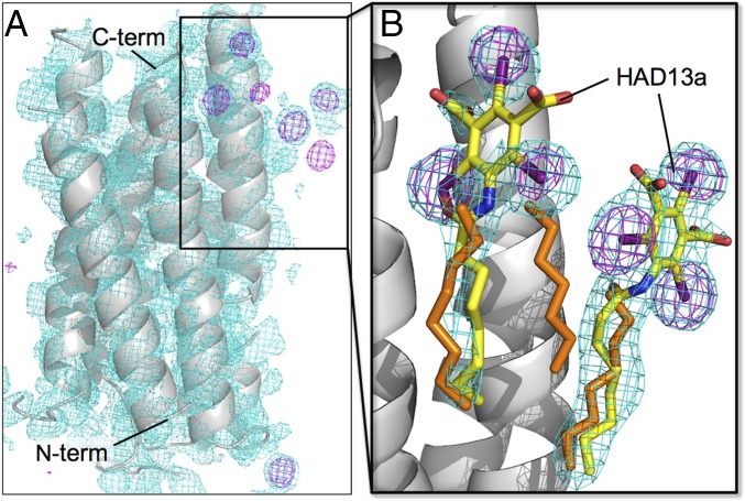 Fig. 3.