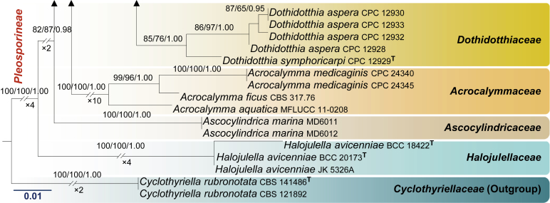 Fig. 1