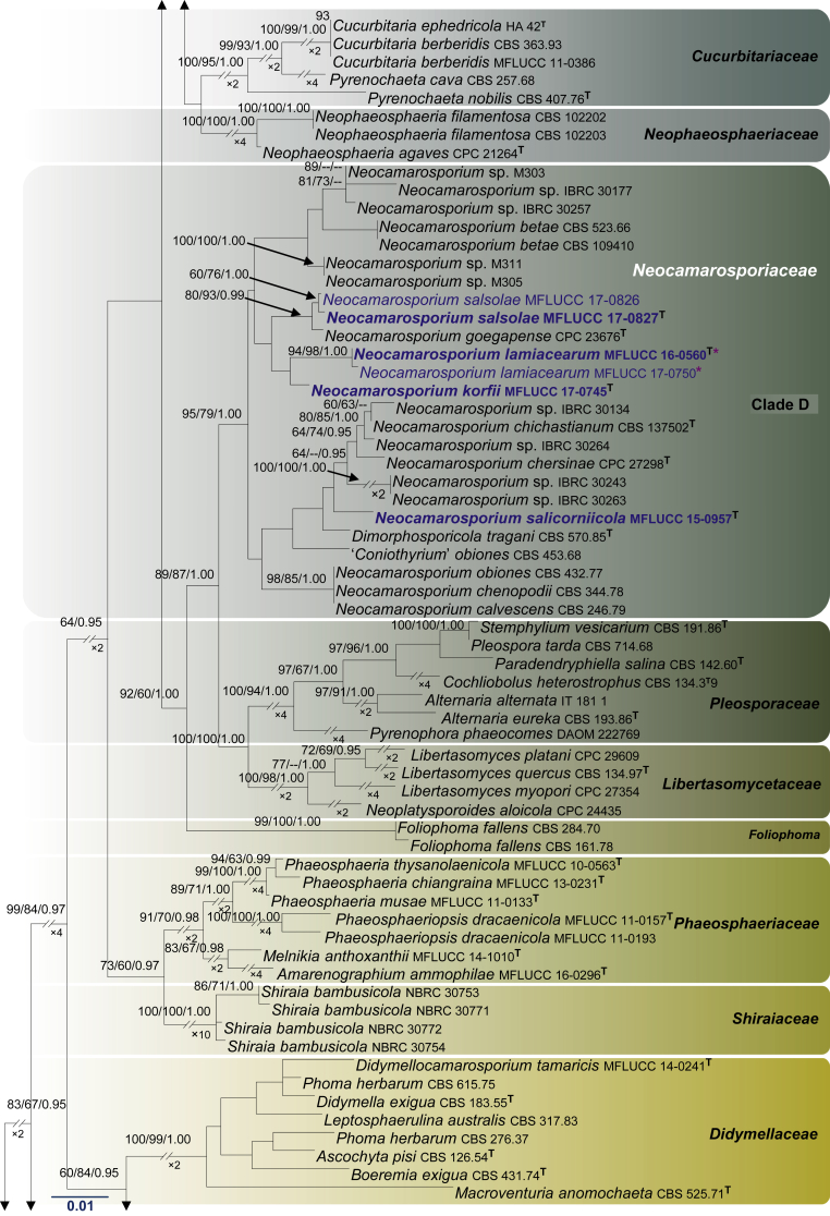 Fig. 1