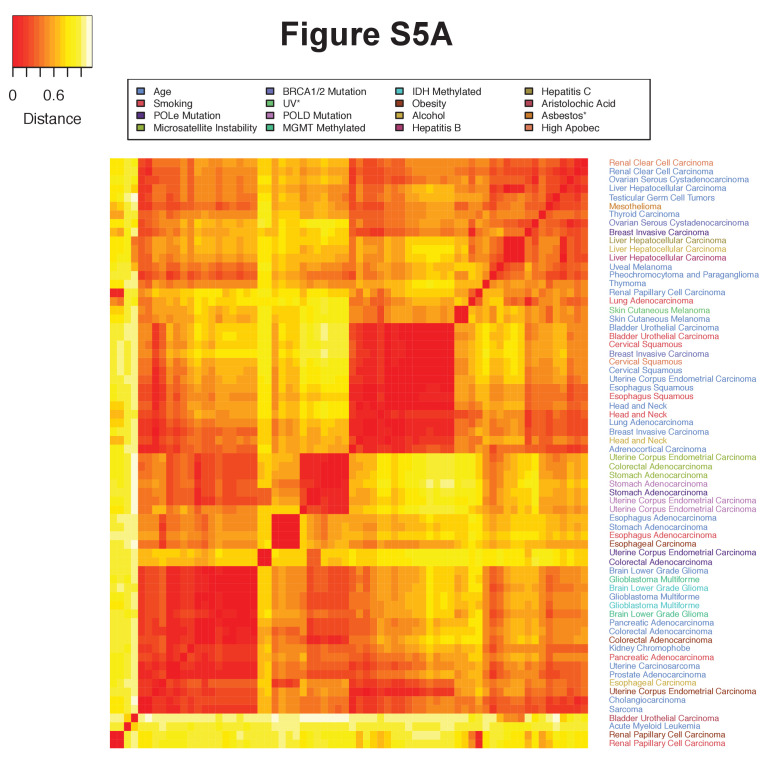 Figure 3—figure supplement 2.