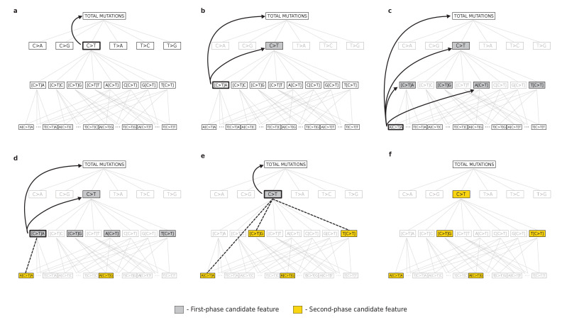 Figure 1—figure supplement 1.