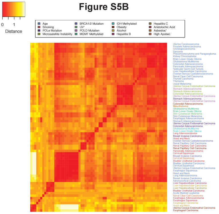 Figure 3—figure supplement 19.