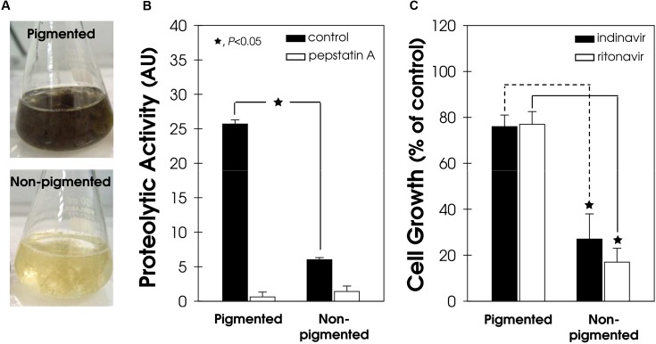 FIGURE 6