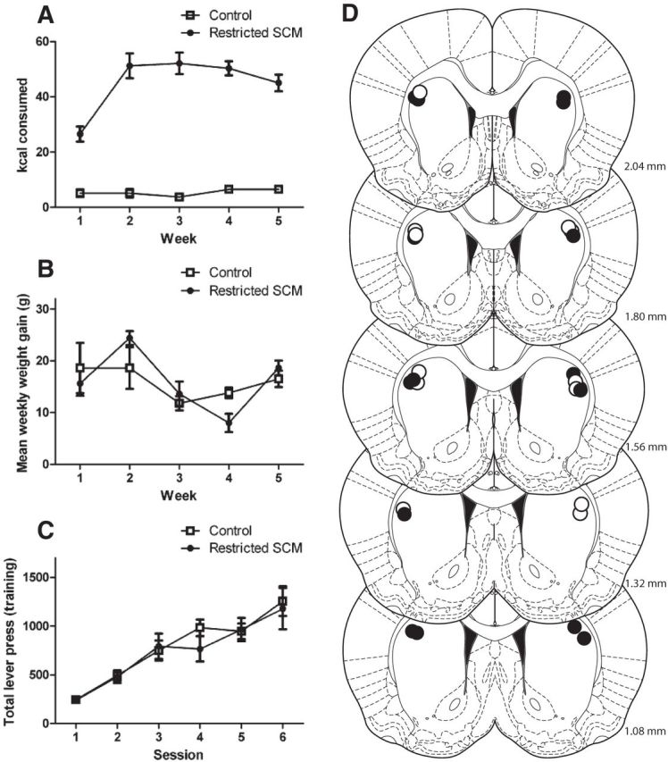 Figure 7.