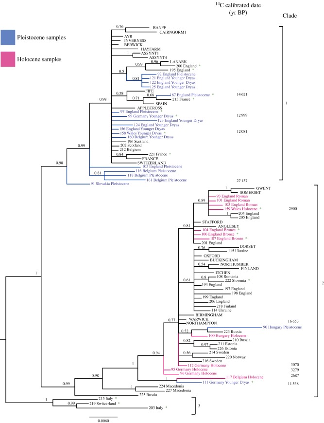 Figure 2.