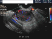Fig. 7