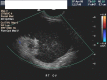 Fig. 8
