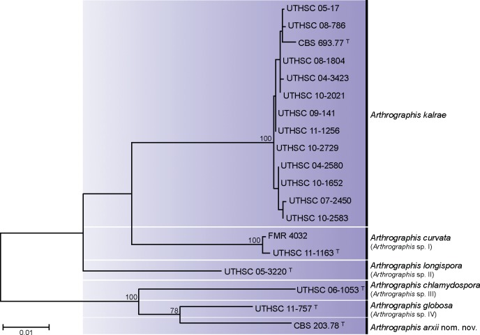 Fig. 2