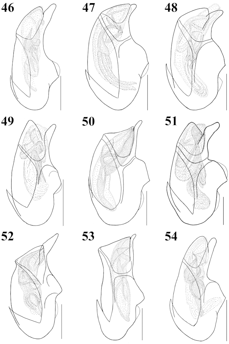 Figures 46–54.