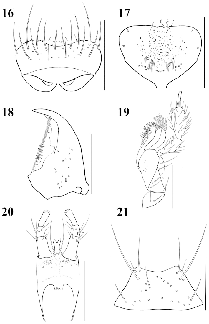 Figures 16–21.