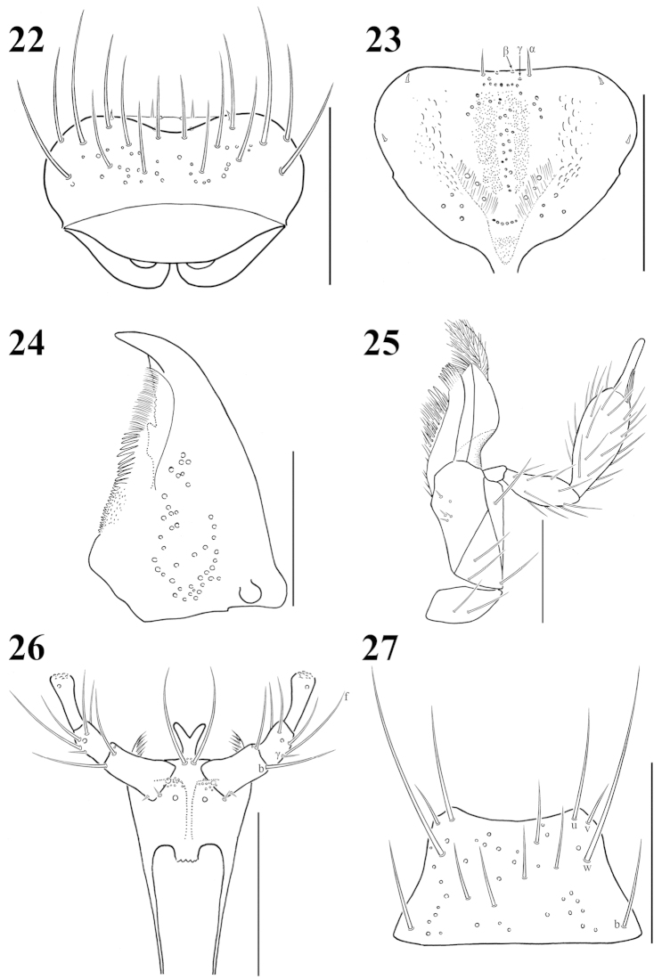 Figures 22–27.