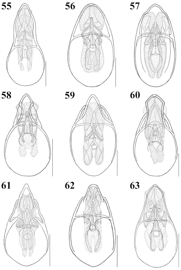 Figures 55–63.