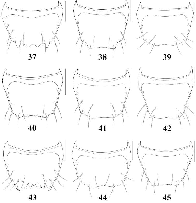 Figures 37–45.