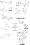 Figure 9