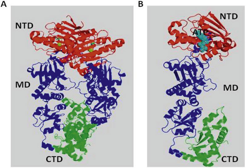 Fig. 1.