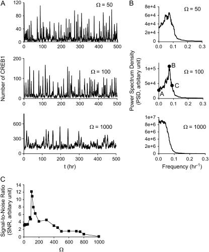 FIGURE 11