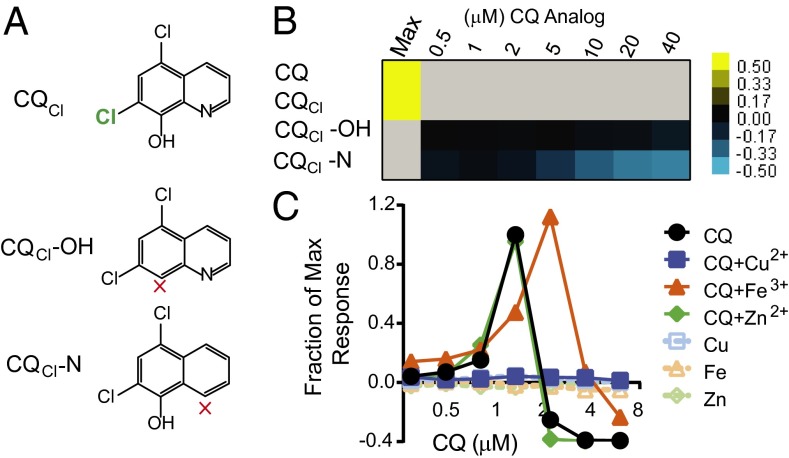 Fig. 4.