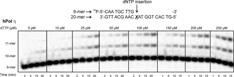 FIGURE 11.