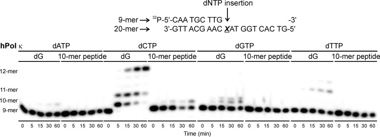 FIGURE 10.