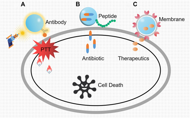 FIGURE 3