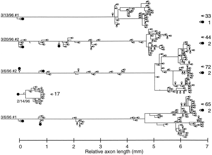 Fig. 9.