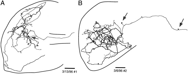 Fig. 8.