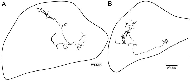 Fig. 11.