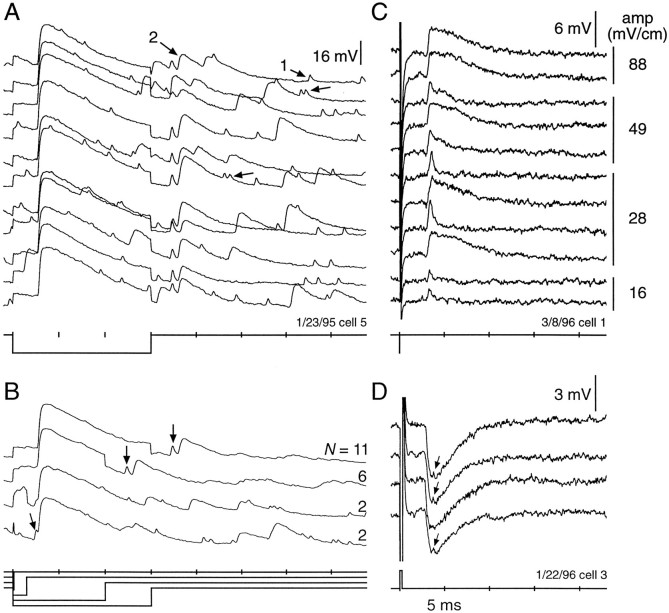 Fig. 14.