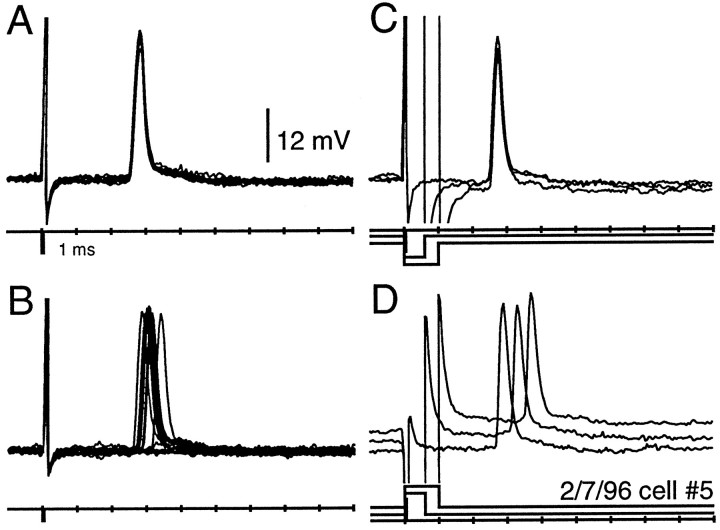 Fig. 3.