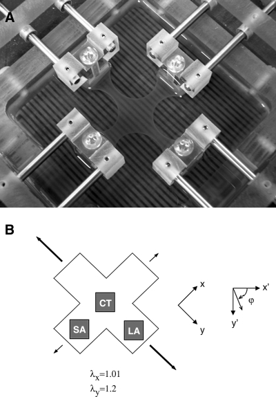 FIG. 1.