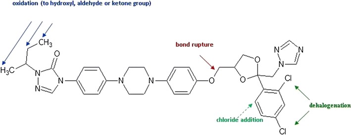 Fig. 10