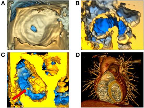 Figure 6