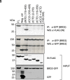 Fig 8