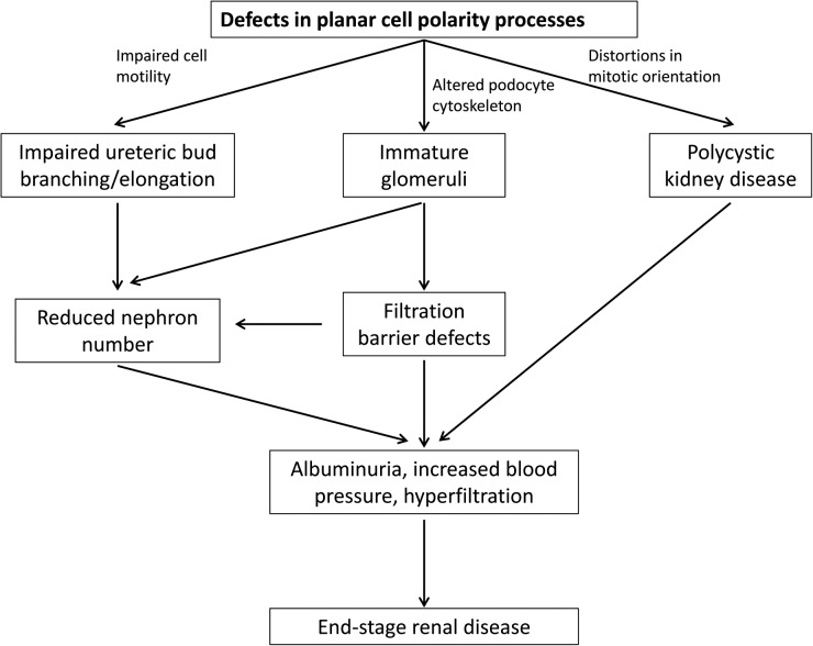 FIGURE 2: