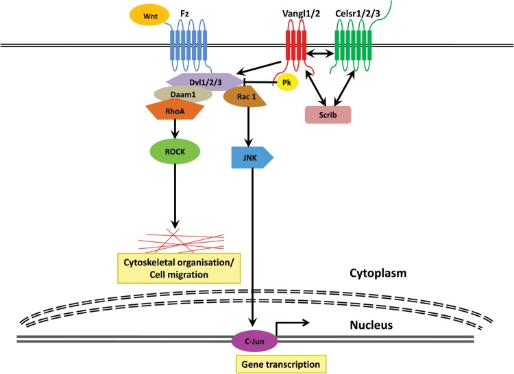 FIGURE 1: