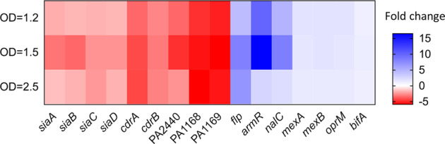 Fig. 10