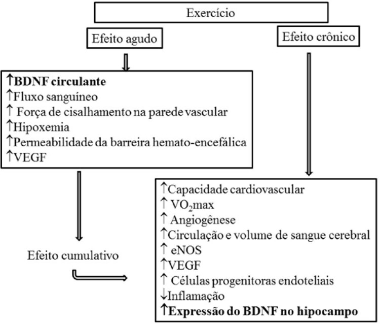 Figura 1