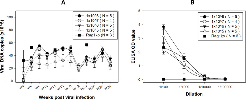 Graphs feature viral DNA levels over weeks post-infection and anti-MmuPV1 E4 IgG3 antibody levels at different dilutions.