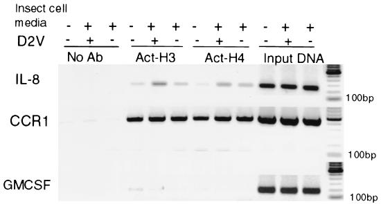 FIG. 7.