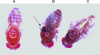 FIG. 5.