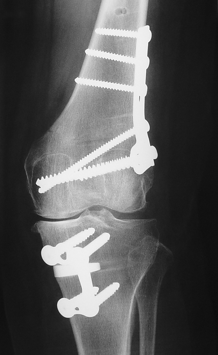 Fig. 6