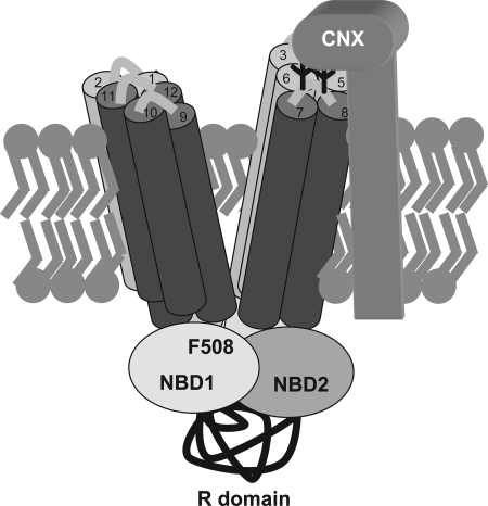 Figure 7.